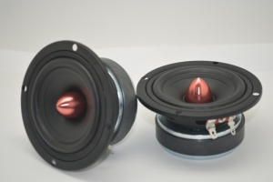 GENETIC-FOSS INDONESIA LAUNCHED FOSS CADENZA